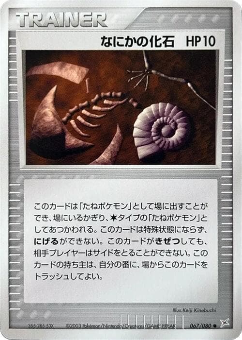 Mysterious Fossil